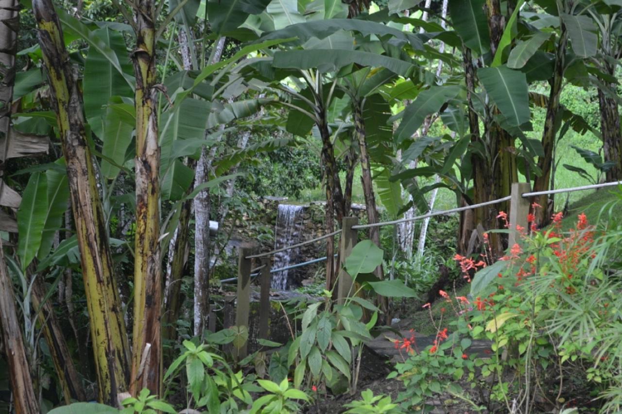 הוילה פקוטי Sitio Alto Da Montanha - Voce Em Paz Com A Natureza מראה חיצוני תמונה