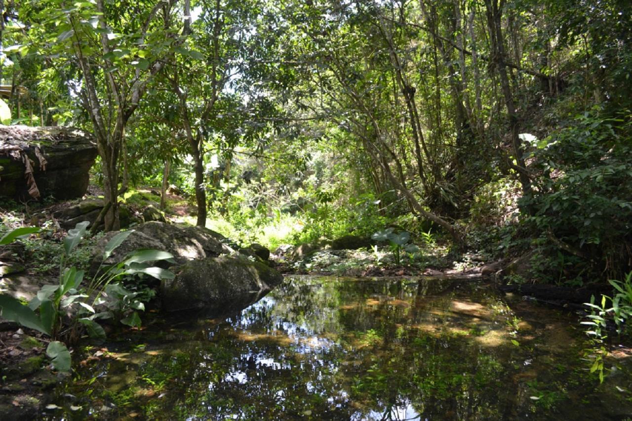פקוטי Sitio Alto Da Montanha - Voce Em Paz Com A Natureza מראה חיצוני תמונה