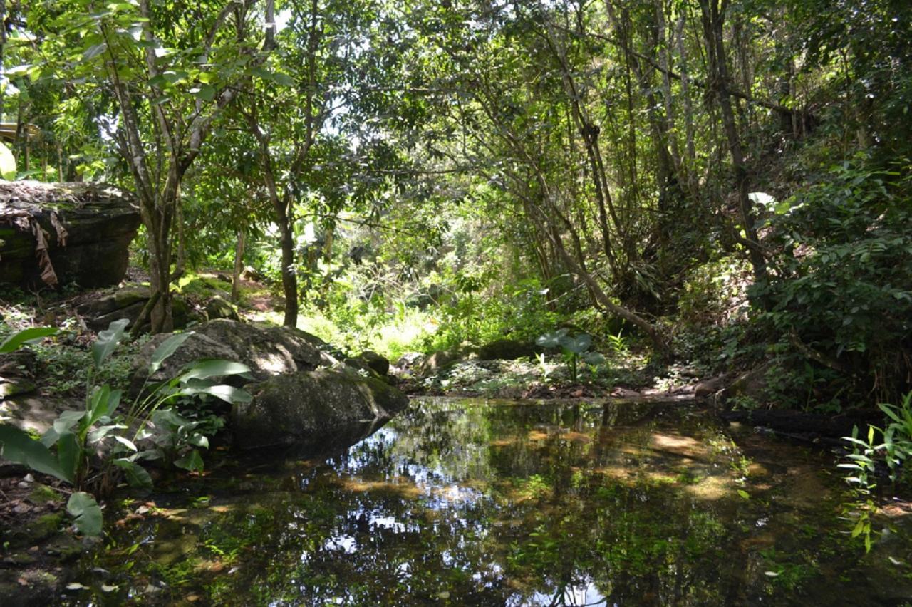 הוילה פקוטי Sitio Alto Da Montanha - Voce Em Paz Com A Natureza מראה חיצוני תמונה